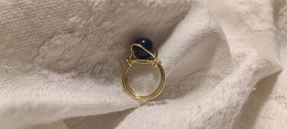 Anillo Capricornio