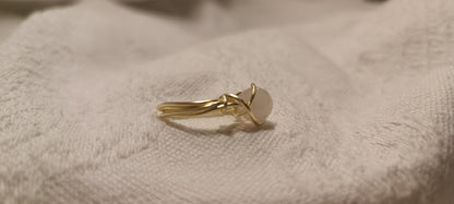 Anillo Emer